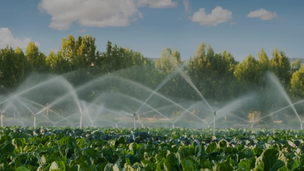 Close-up of agricultural sprinkler systems watering a green field, blurring into the background.