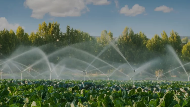 Close-up of agricultural sprinkler systems watering a green field, blurring into the background.