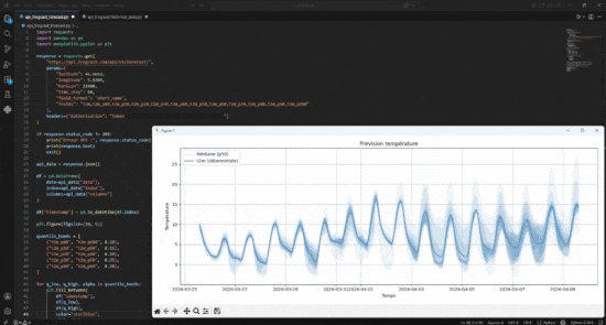 Animated GIF of a code editor demonstrating a Python script fetching Frogcast API weather data
